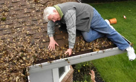 Gutter Maintenance Services In Johns Island SC