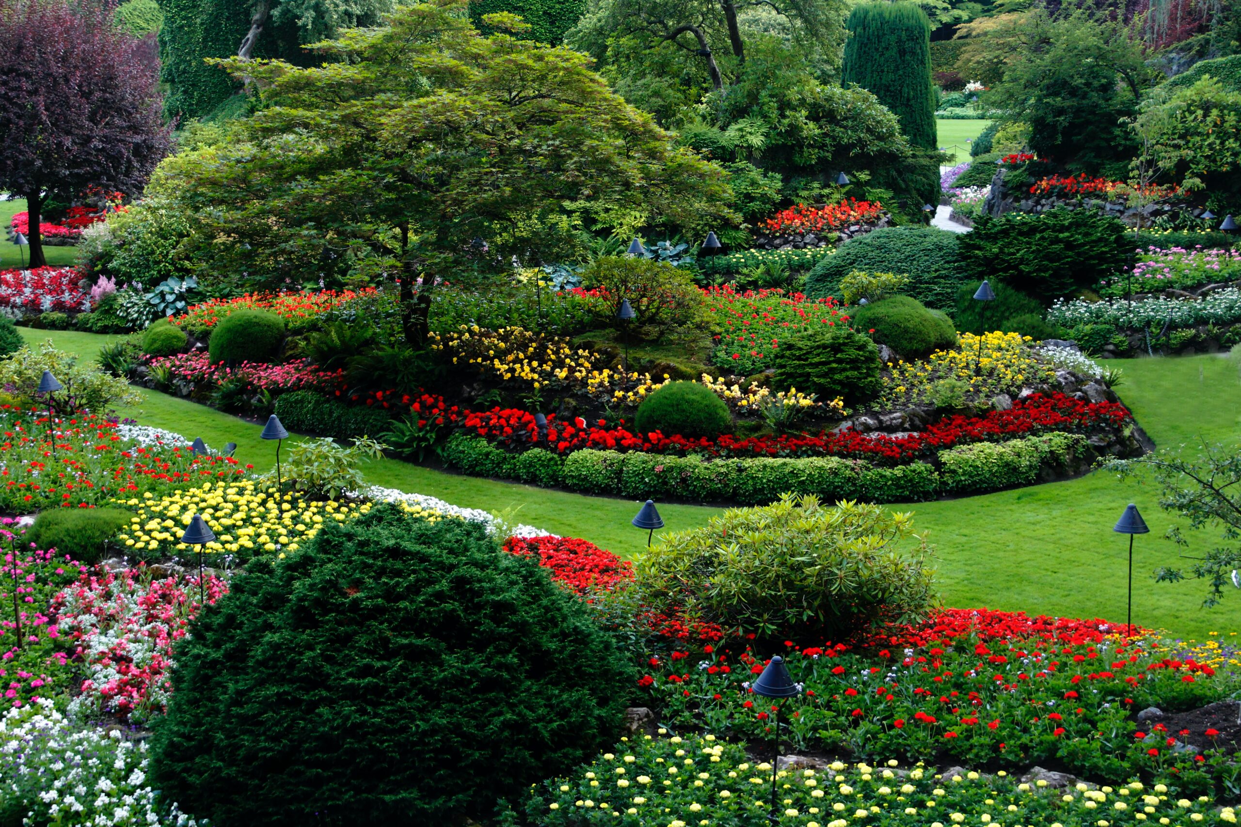 Best Landscaping Services in New Kent VA