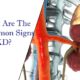 Chronic Kidney Disease