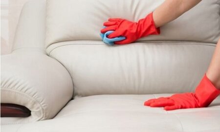 Does Vinegar Get Stains Out On The Couch