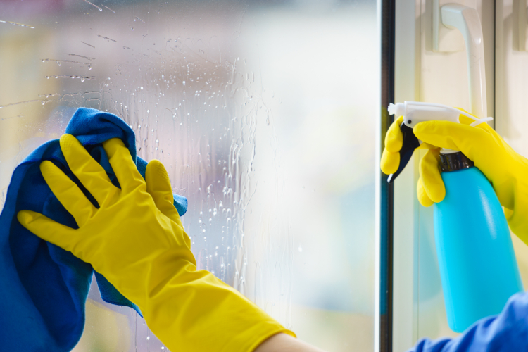 professional window cleaning services in San Ramon CA