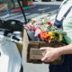 same day flower delivery south yarra