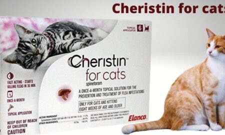 cheristin for cats