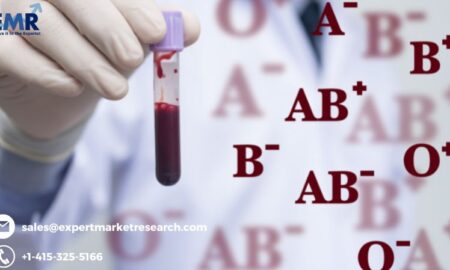 Blood Group Typing Market