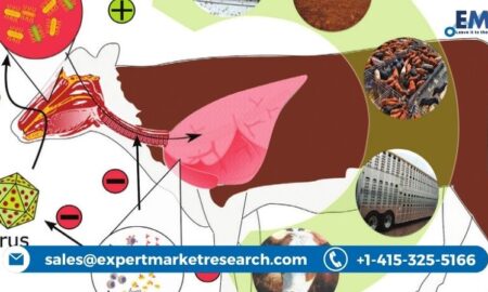 Bovine Respiratory Disease Treatment Market