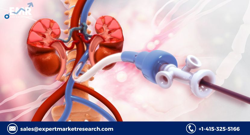 Cardiovascular Stents Market