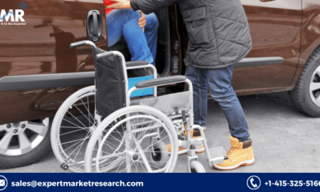 Elderly And Disabled Assistive Devices Market