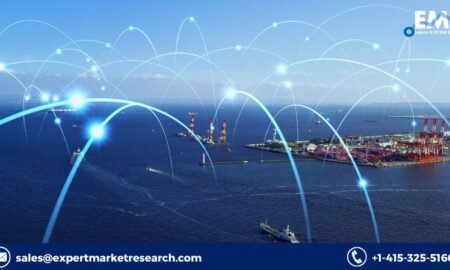 Network Traffic Analyser Market