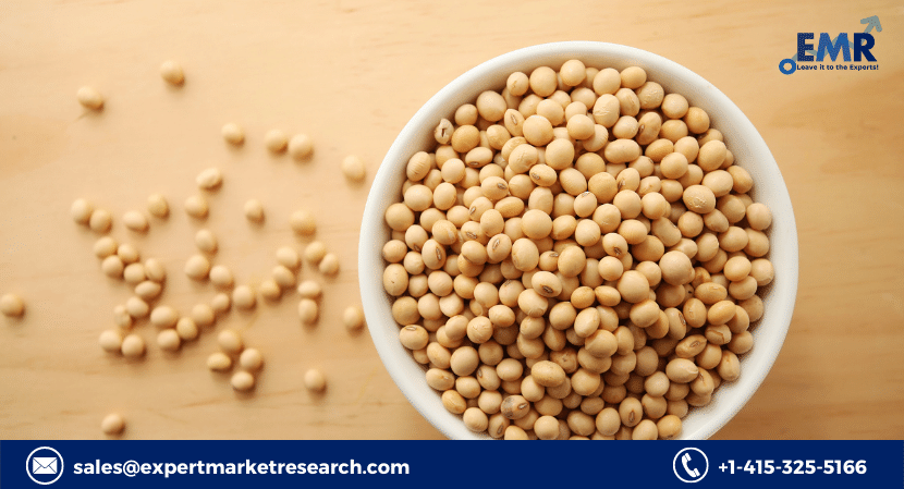 Soybean Market