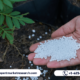 Urea Market