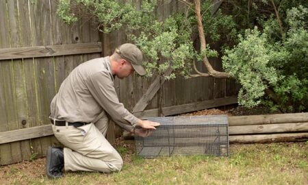 Wildlife removal control