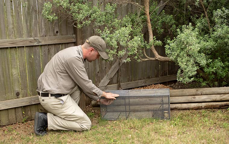 Wildlife removal control