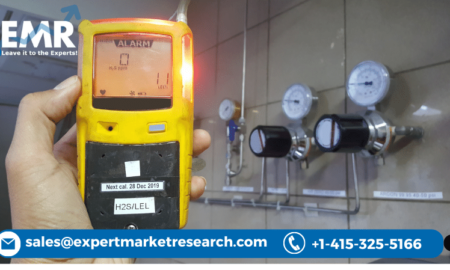 Gas Detectors Market