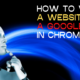 How To View A Website As A Googlebot In Chrome