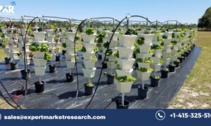 Hydroponics Market