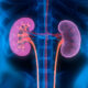 KIDNEY RELOCATE METHOD AND ANALYSIS: CURRENT REALITIES