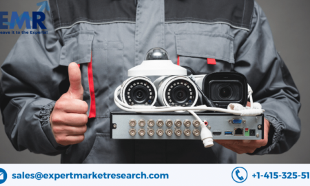 Physical Security Services Market