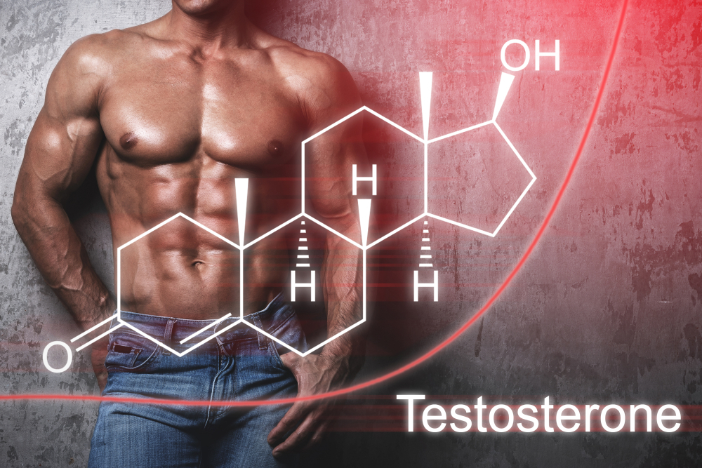 Testosterone Levels