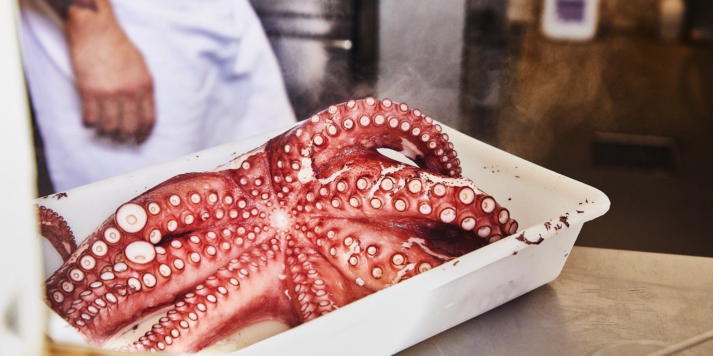 japanese octopus recip