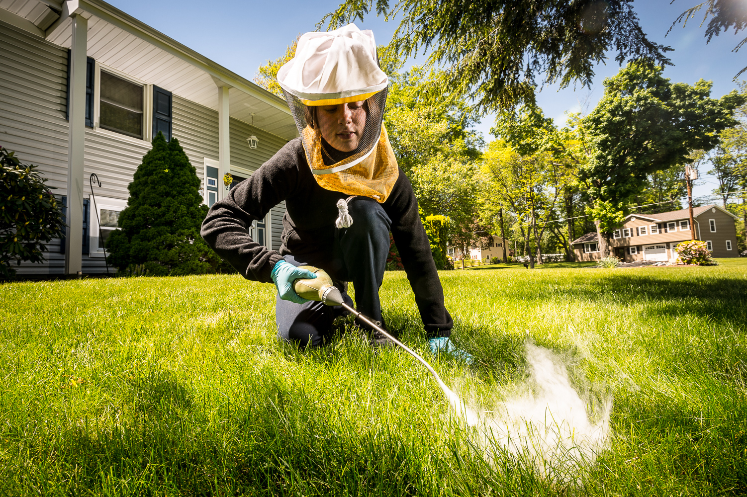 Pest Control Abu Dhabi