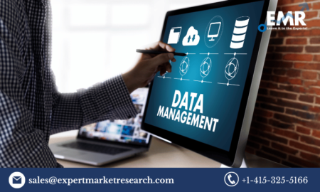 Database Management System (DBMS) Market