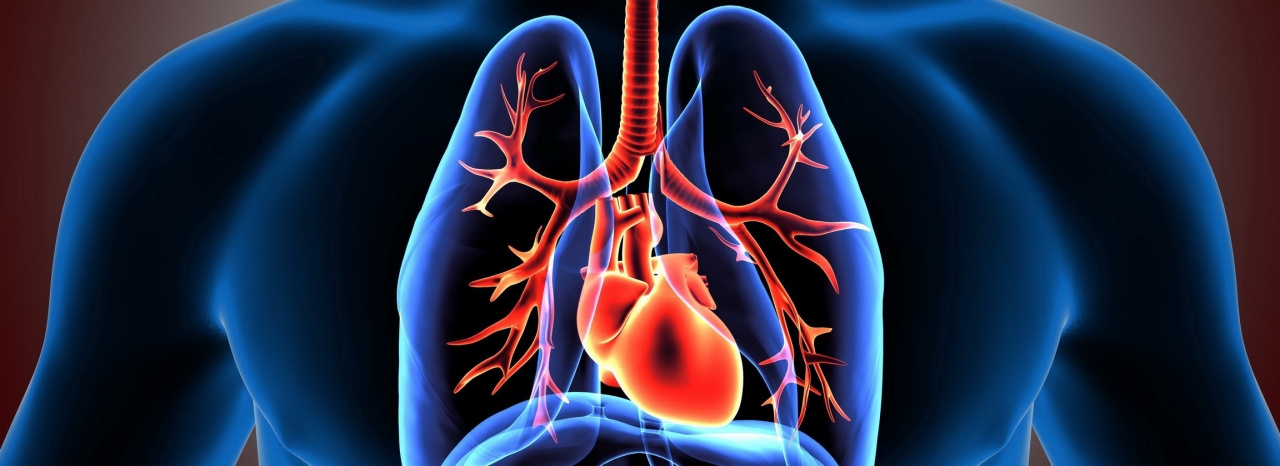 India Idiopathic Pulmonary Fibrosis Treatment Market