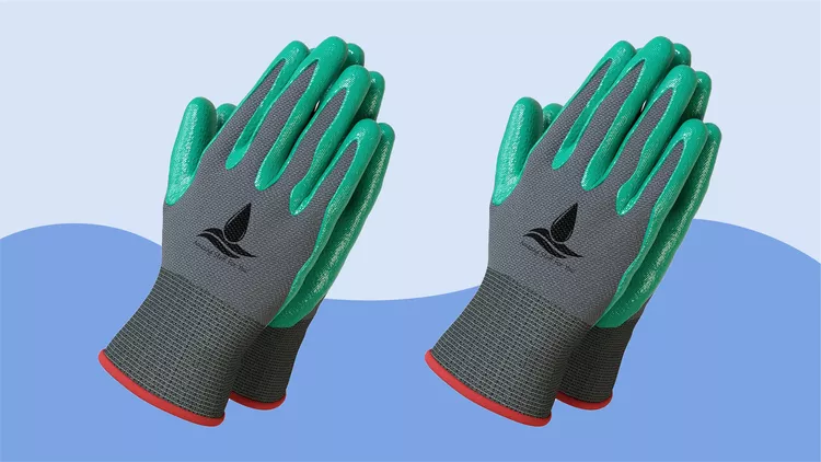 gloves