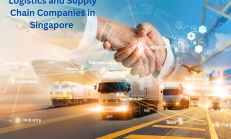 logistics and supply chain companies in Singapore, e commerce logistics Singapore, logistics transportation services Singapore, third party logistics Singapore, 3rd party logistics Singapore