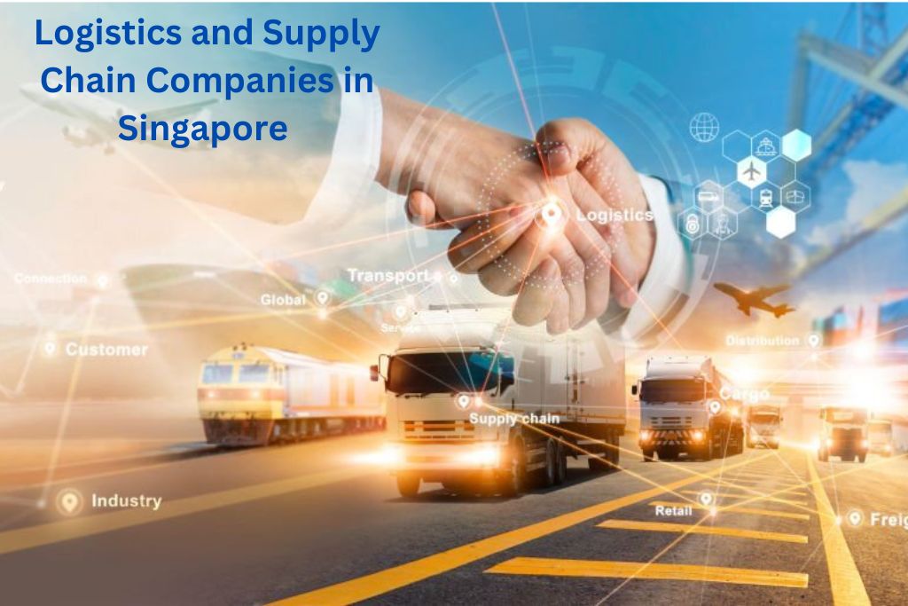 logistics and supply chain companies in Singapore, e commerce logistics Singapore, logistics transportation services Singapore, third party logistics Singapore, 3rd party logistics Singapore