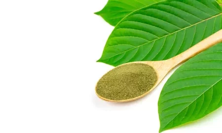 kratom capsules buy online