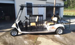 Wheelchair Golf Carts